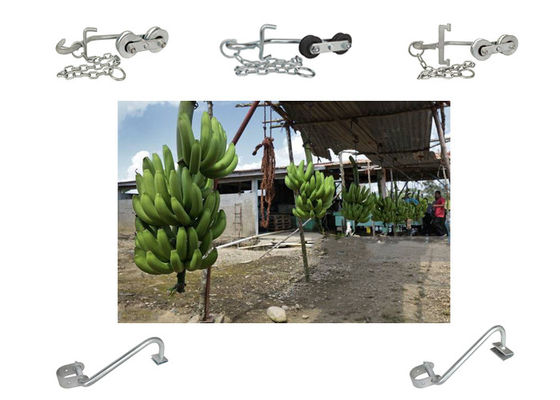 150kg-220KG Móc chuối treo con lăn cho thiết bị vận chuyển dễ dàng